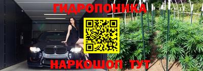 метадон Донской