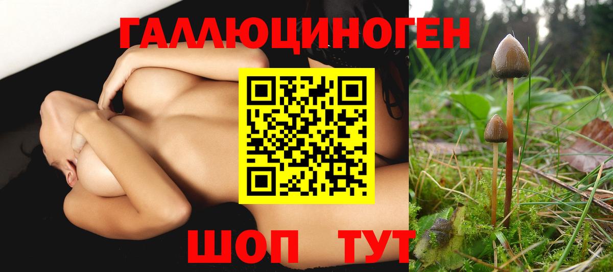 Галлюциногенные грибы MAGIC MUSHROOMS  Галлюциногенные грибы прущие грибы  Люберцы  Вход с VPN 